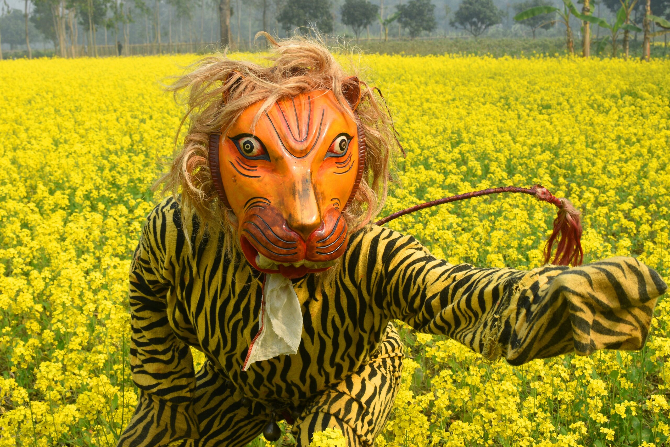 Experiential philosophy workshop: moral impossibility and being animals