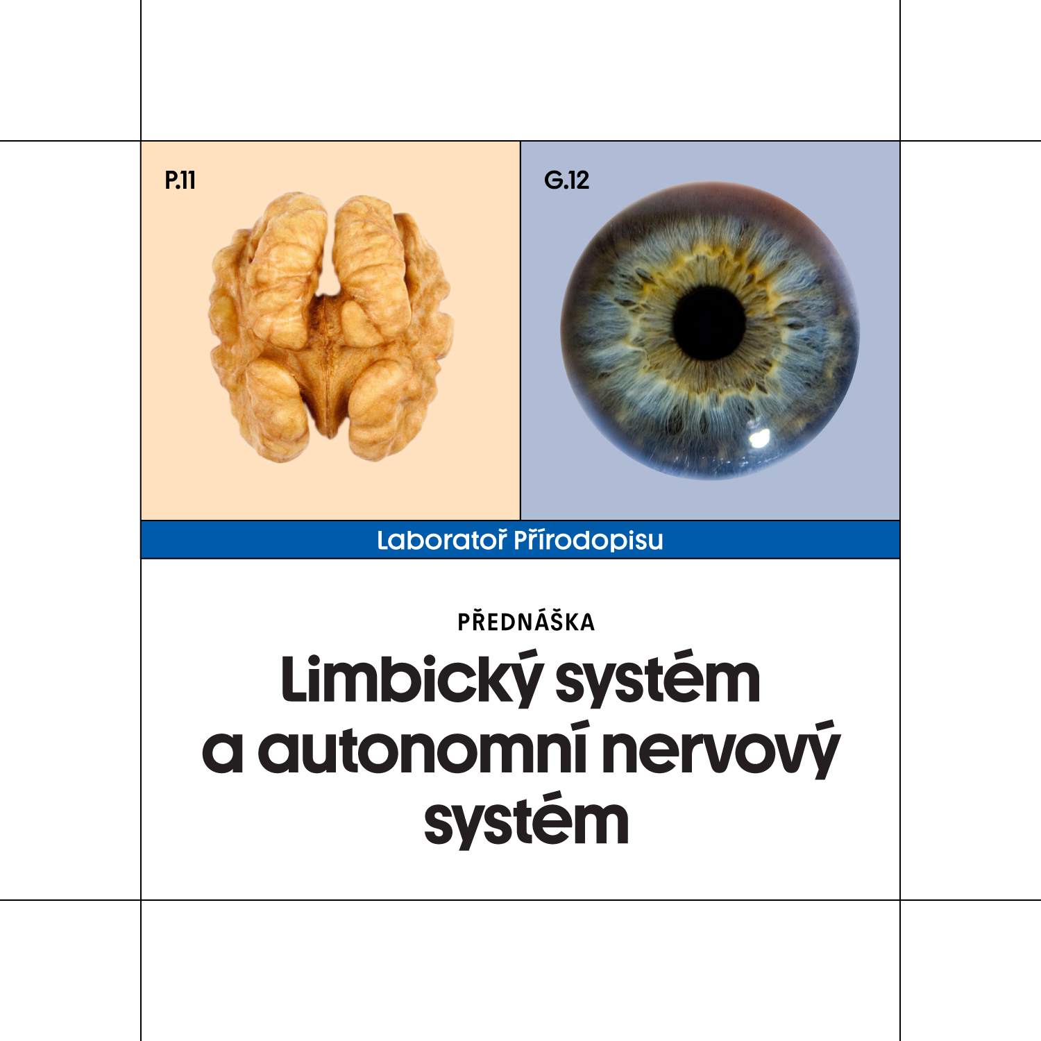 Limbický a autonomní nervový systém s neurochirurgem Pavlem Póczošem